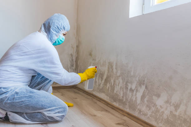 Licensed Crawl Space Mold Remediation service in Fleming Island, FL - Car Mold Remediation
