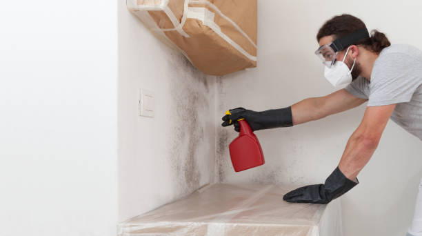 Professional Crawl Space Mold Remediation technician working in Fleming Island, FL